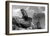 A Quagga, 1815-null-Framed Giclee Print