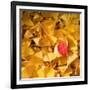 A Question of Colors-Philippe Sainte-Laudy-Framed Photographic Print