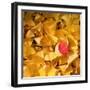 A Question of Colors-Philippe Sainte-Laudy-Framed Photographic Print