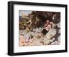 A Quiet Corner on Sark-null-Framed Art Print