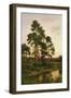A Quiet Evening, Surrey Pines, 1916-Benjamin Williams Leader-Framed Giclee Print