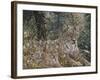 A Quiet Moment-Jeff Tift-Framed Giclee Print