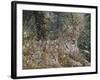 A Quiet Moment-Jeff Tift-Framed Giclee Print