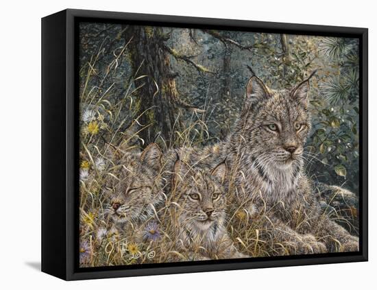 A Quiet Moment-Jeff Tift-Framed Stretched Canvas