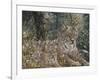 A Quiet Moment-Jeff Tift-Framed Giclee Print