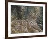 A Quiet Moment-Jeff Tift-Framed Giclee Print