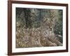 A Quiet Moment-Jeff Tift-Framed Giclee Print