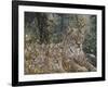 A Quiet Moment-Jeff Tift-Framed Giclee Print