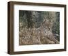 A Quiet Moment-Jeff Tift-Framed Giclee Print