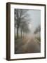 A Quiet Place-Ily Szilagyi-Framed Giclee Print