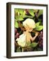 A Quiet Place-Dalliann-Framed Giclee Print