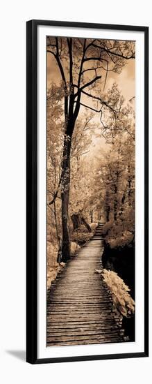 A Quiet Stroll I-Ily Szilagyi-Framed Art Print