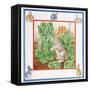 A Rabbit in the Cabbage Patch-Catherine Bradbury-Framed Stretched Canvas