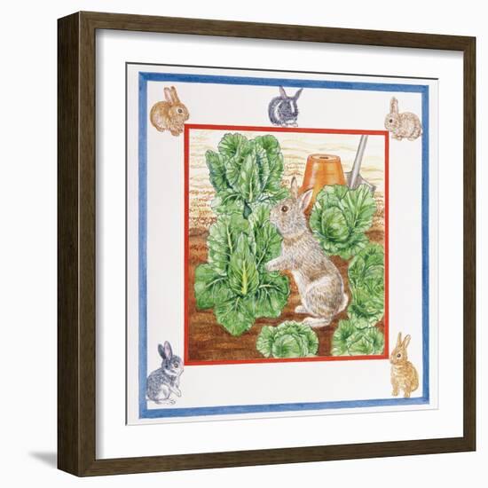 A Rabbit in the Cabbage Patch-Catherine Bradbury-Framed Giclee Print