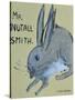 A Rabbit named Mr Nutall Smith-Brenda Brin Booker-Stretched Canvas