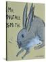 A Rabbit named Mr Nutall Smith-Brenda Brin Booker-Stretched Canvas