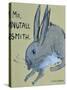 A Rabbit named Mr Nutall Smith-Brenda Brin Booker-Stretched Canvas