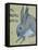 A Rabbit named Mr Nutall Smith-Brenda Brin Booker-Framed Stretched Canvas