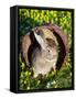 A Rabbit Sits in a Basket on a Blooming Meadow around Easter Time-null-Framed Stretched Canvas