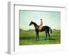 A Race Horse with a Jockey up on the Racetrack at Newmarket-Harry Hall-Framed Premium Giclee Print