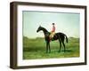 A Race Horse with a Jockey up on the Racetrack at Newmarket-Harry Hall-Framed Giclee Print