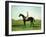 A Race Horse with a Jockey up on the Racetrack at Newmarket-Harry Hall-Framed Giclee Print
