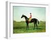 A Race Horse with a Jockey up on the Racetrack at Newmarket-Harry Hall-Framed Giclee Print