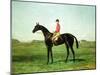 A Race Horse with a Jockey up on the Racetrack at Newmarket-Harry Hall-Mounted Giclee Print