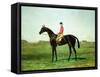 A Race Horse with a Jockey up on the Racetrack at Newmarket-Harry Hall-Framed Stretched Canvas