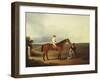 A Racehorse with a Jockey Up, with a Trainer and a Spaniel by a Gate-George Fenn (Attr to)-Framed Giclee Print