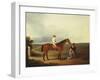 A Racehorse with a Jockey Up, with a Trainer and a Spaniel by a Gate-George Fenn (Attr to)-Framed Giclee Print