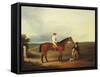 A Racehorse with a Jockey Up, with a Trainer and a Spaniel by a Gate-George Fenn (Attr to)-Framed Stretched Canvas