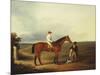 A Racehorse with a Jockey Up, with a Trainer and a Spaniel by a Gate-George Fenn (Attr to)-Mounted Giclee Print