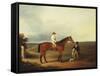 A Racehorse with a Jockey Up, with a Trainer and a Spaniel by a Gate-George Fenn (Attr to)-Framed Stretched Canvas