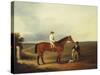 A Racehorse with a Jockey Up, with a Trainer and a Spaniel by a Gate-George Fenn (Attr to)-Stretched Canvas