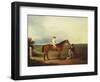 A Racehorse with a Jockey Up, with a Trainer and a Spaniel by a Gate-George Fenn (Attr to)-Framed Giclee Print