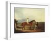 A Racehorse with a Jockey Up, with a Trainer and a Spaniel by a Gate-George Fenn (Attr to)-Framed Giclee Print