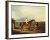 A Racehorse with a Jockey Up, with a Trainer and a Spaniel by a Gate-George Fenn (Attr to)-Framed Giclee Print