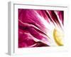 A Radicchio Leaf with a Slice of Lemon-Peter Rees-Framed Photographic Print