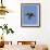 A Rainbow Lorikeet from Northern Australia in Flight in Southwest Australia-Neil Losin-Framed Photographic Print displayed on a wall