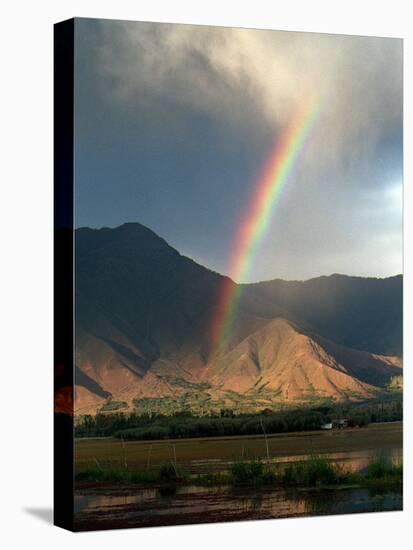 A Rainbow Reaches for the Banks of Kashmir's Dal Lake-null-Stretched Canvas