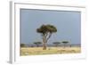 A Rainstorm Approaching in the Masai Mara Plains, Kenya-Sergio Pitamitz-Framed Photographic Print