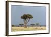 A Rainstorm Approaching in the Masai Mara Plains, Kenya-Sergio Pitamitz-Framed Photographic Print