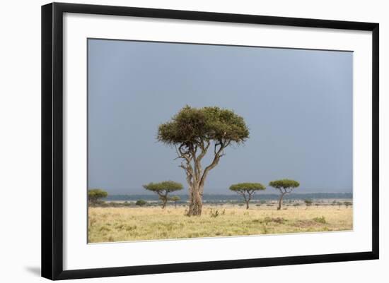 A Rainstorm Approaching in the Masai Mara Plains, Kenya-Sergio Pitamitz-Framed Photographic Print