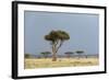 A Rainstorm Approaching in the Masai Mara Plains, Kenya-Sergio Pitamitz-Framed Photographic Print