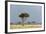 A Rainstorm Approaching in the Masai Mara Plains, Kenya-Sergio Pitamitz-Framed Photographic Print