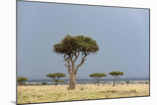 A Rainstorm Approaching in the Masai Mara Plains, Kenya-Sergio Pitamitz-Mounted Photographic Print