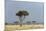 A Rainstorm Approaching in the Masai Mara Plains, Kenya-Sergio Pitamitz-Mounted Photographic Print