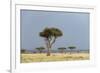 A Rainstorm Approaching in the Masai Mara Plains, Kenya-Sergio Pitamitz-Framed Photographic Print