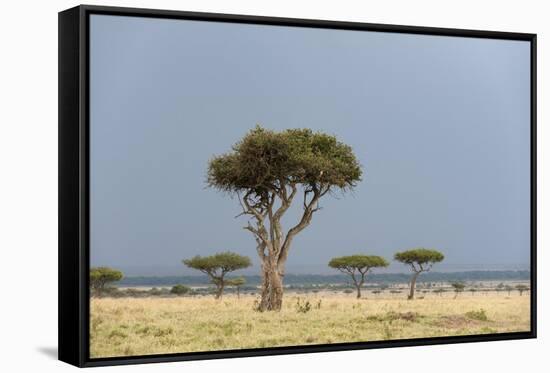 A Rainstorm Approaching in the Masai Mara Plains, Kenya-Sergio Pitamitz-Framed Stretched Canvas